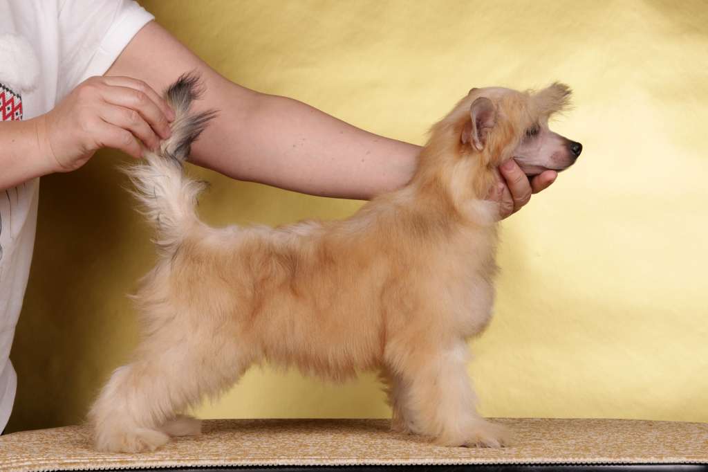 Incanto Del Mondo Venezia