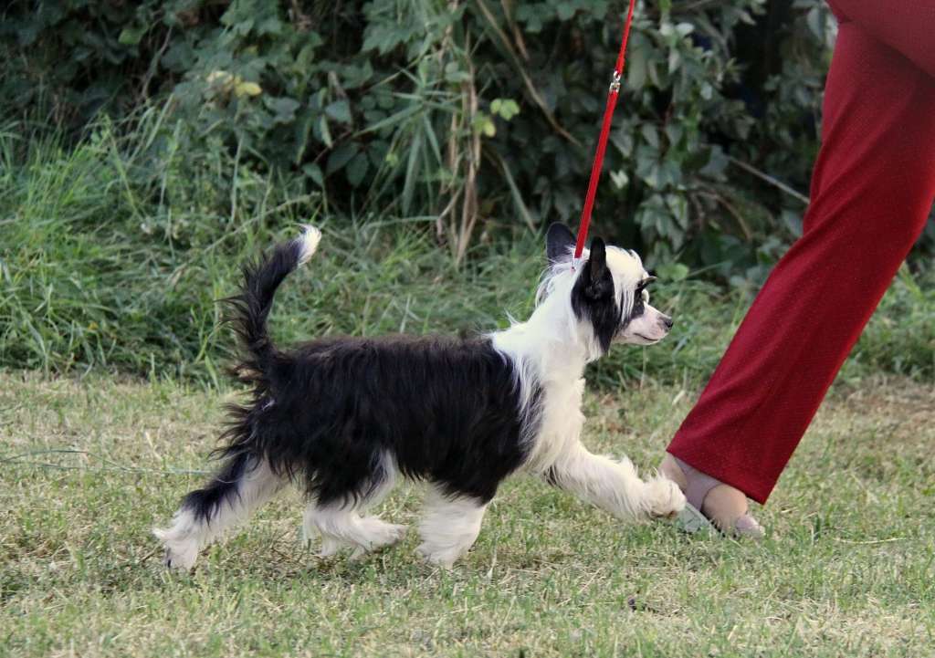 Zheneva-Debjut Vam i ne snilas'