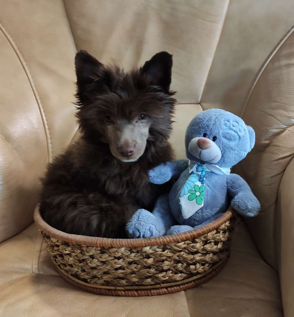 Grand Romantiq Layza Minelli