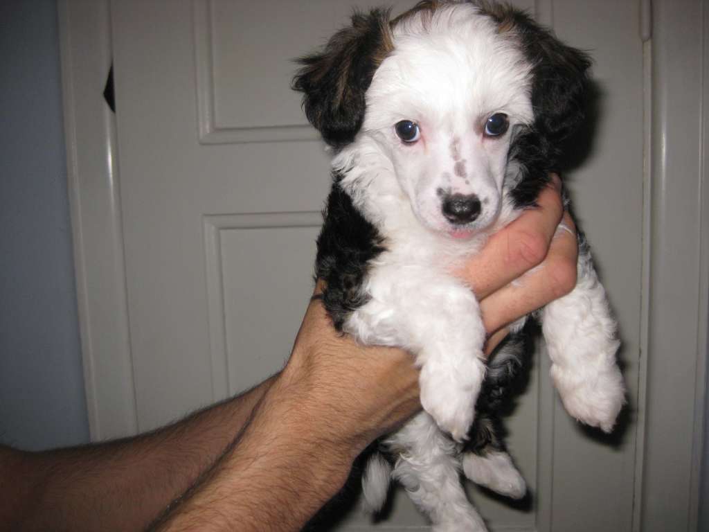 Desireme Out of control