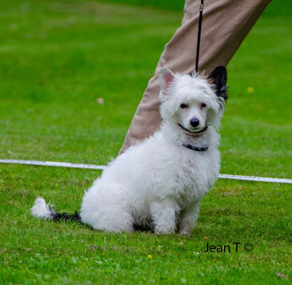 Desireme Dancing In The Dark