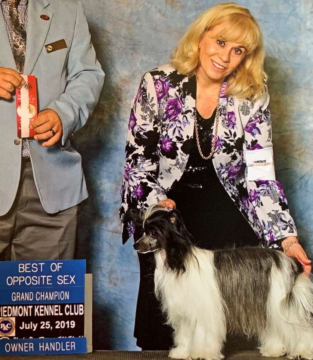 Cloud Nine's Moon Racer