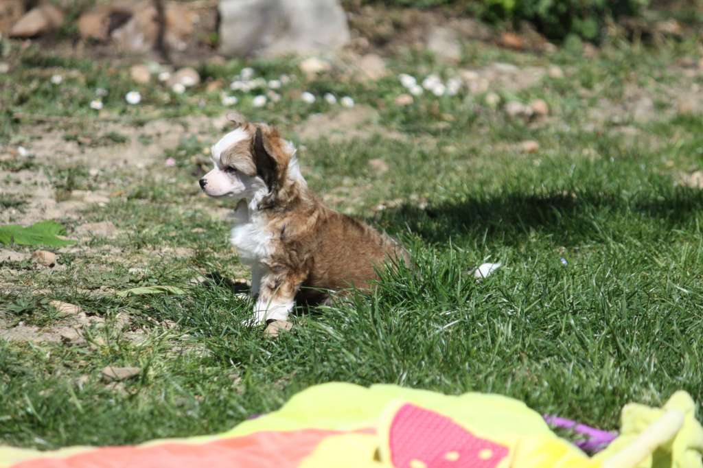 Moon Harbour Radieuse