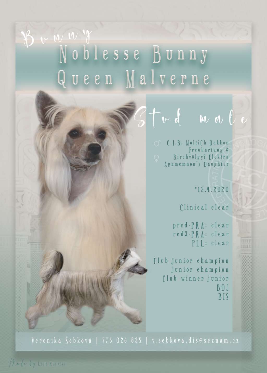 Noblesse Bunny Queen Malverne