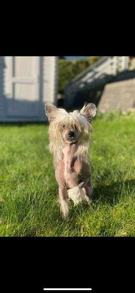 Moelmo's Million Reasons