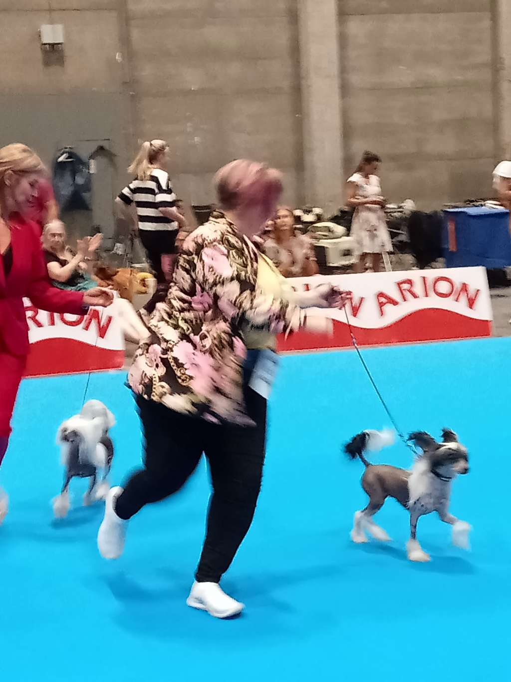 pufflepaws prosecco please