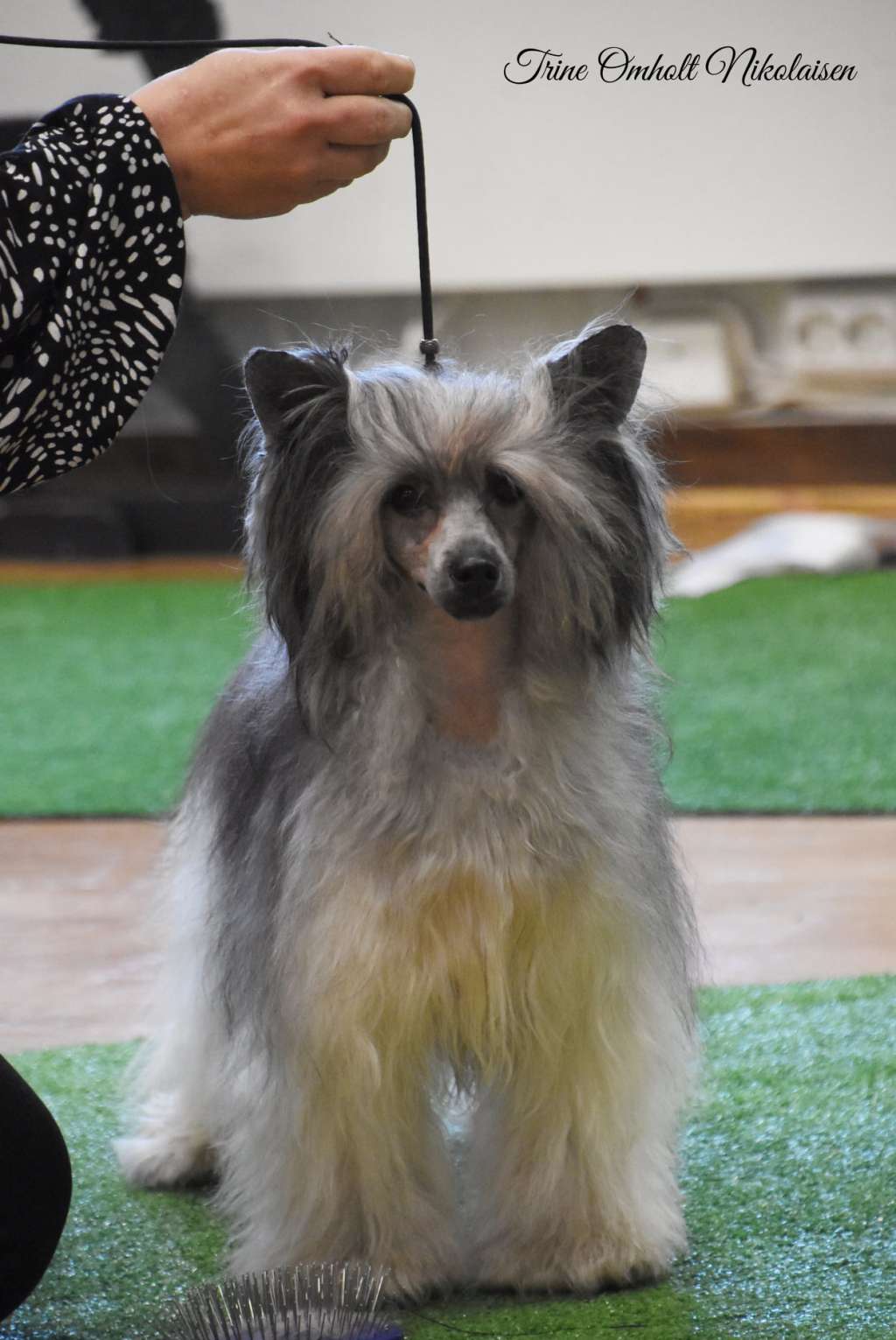 Eventyrvannets Prinsesse Irma