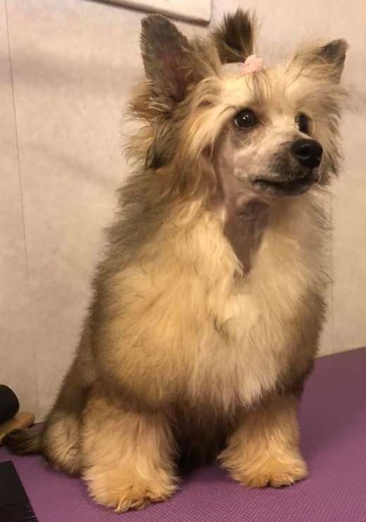 Eventyrvannets Prinsesse Isabella