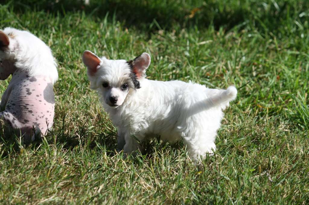 Moon Harbour Ricky Martin