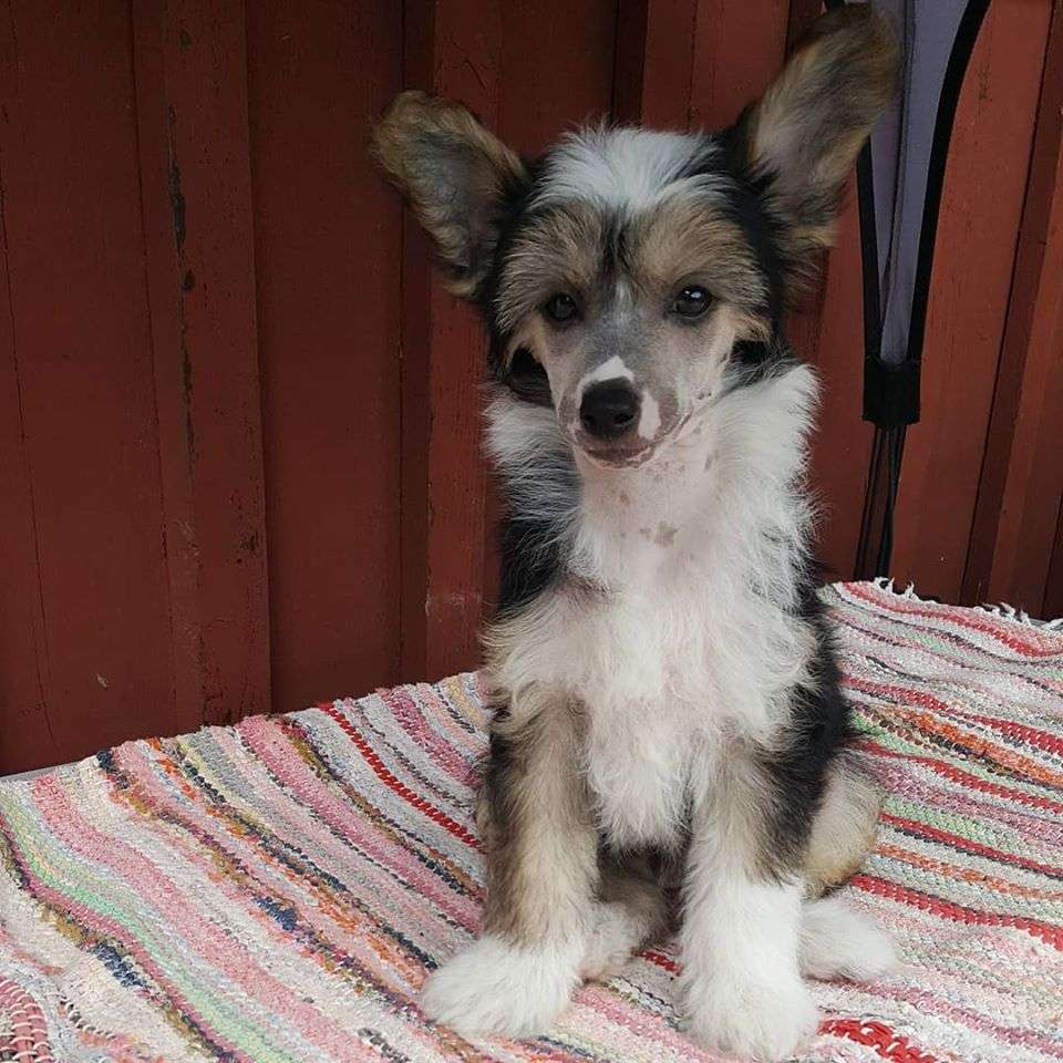 Spotifly Fill Your Heart