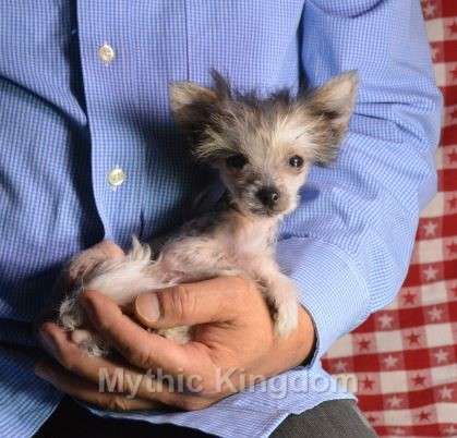 Mythic B My Little Baby