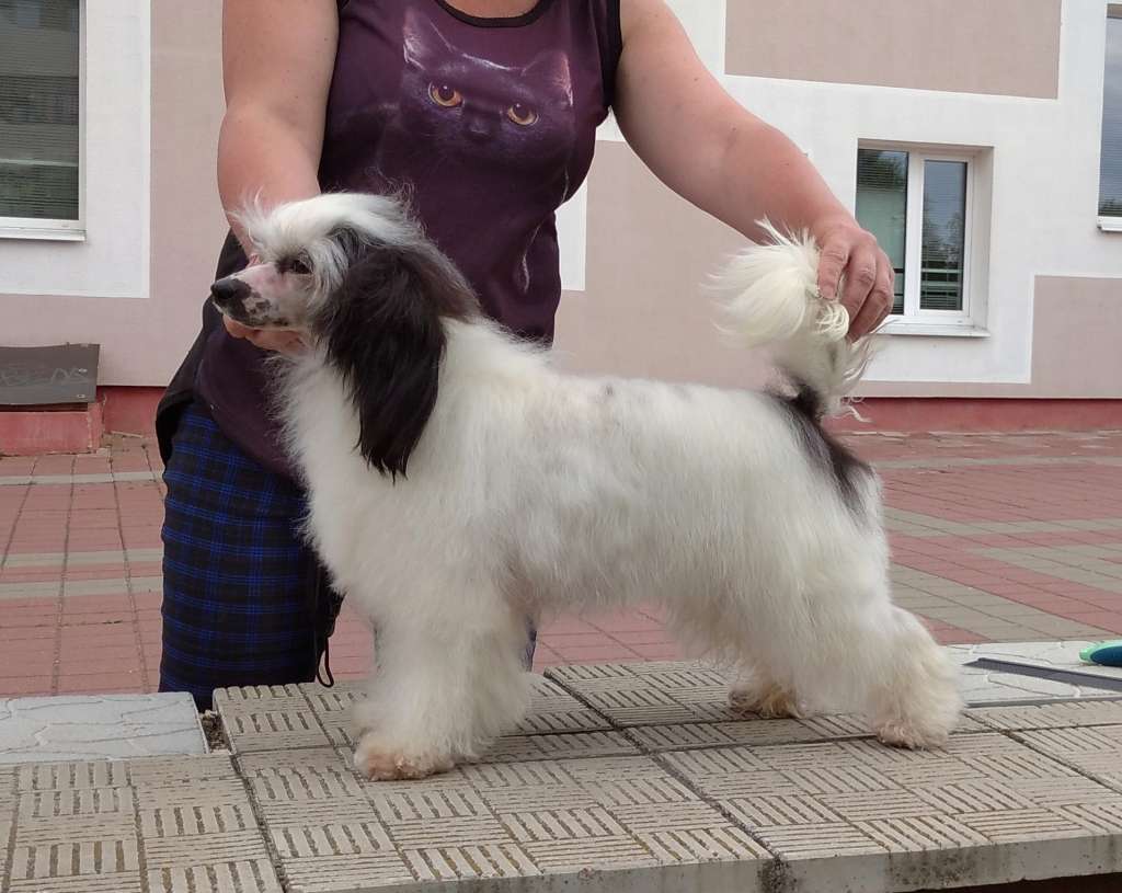 Magnet Success Keep A Easily