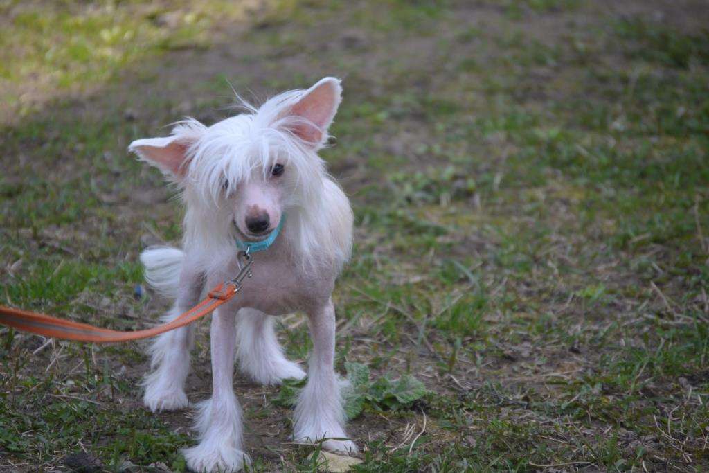 Family Mar'S Jermina