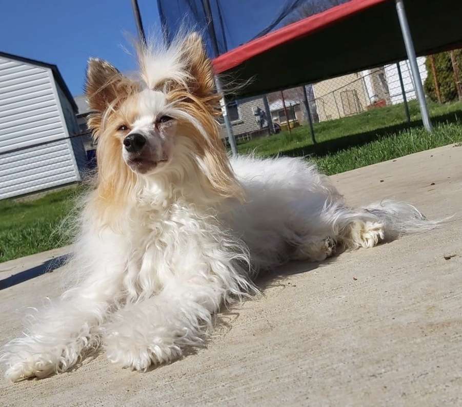 Osterhout Jealous & Rebellious