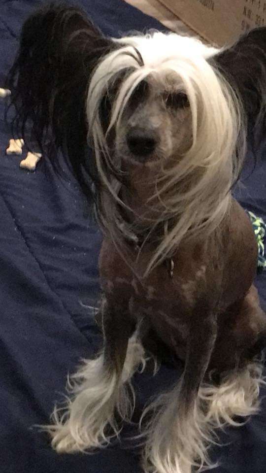 Cloisone Three Four Time