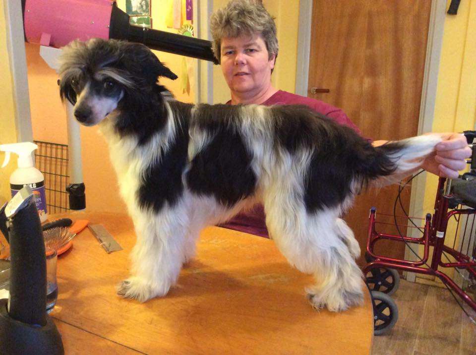 Yrar Zip Goes A Million