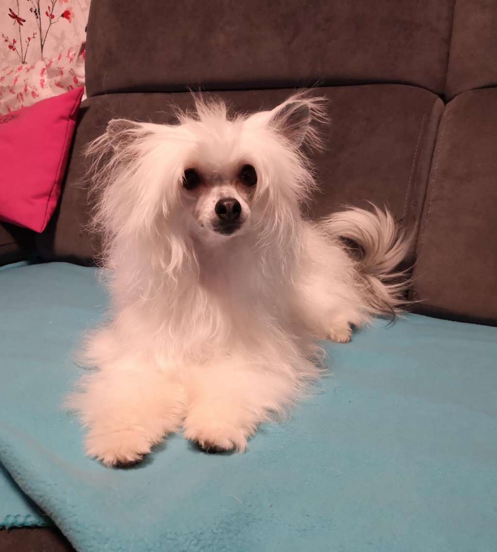 Jade Touch of Elegance von Natelberg