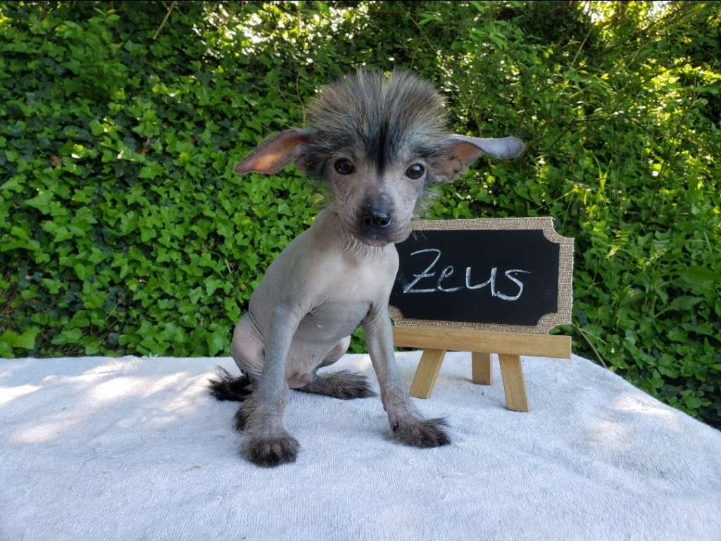 Long Haul's Grand Journey for Europa