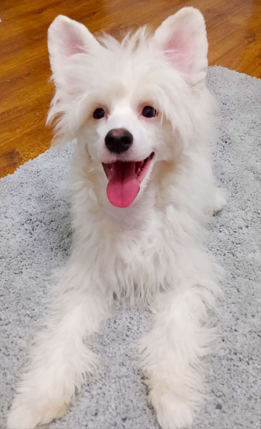 Ksolo Club Desertflame