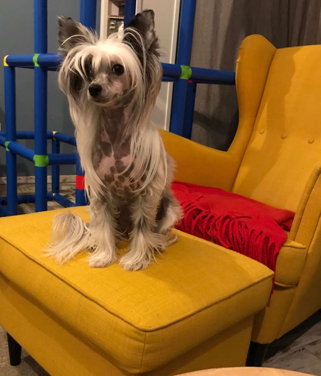 Fundoklia-völgyi Kaszanics Caprice