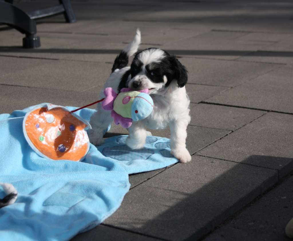 Say What You Want of Angel's Legacy