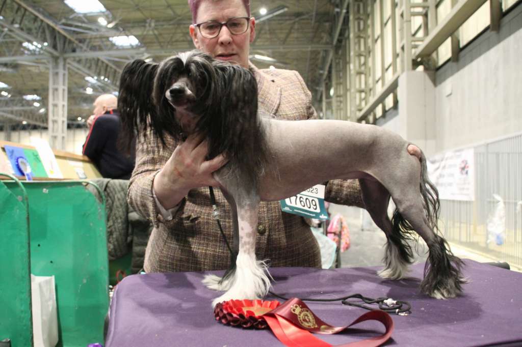 Energy Di Hip-Hop Queen