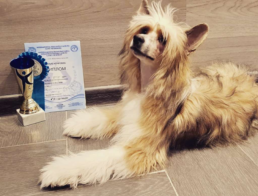 Julius Neva Billy Bob