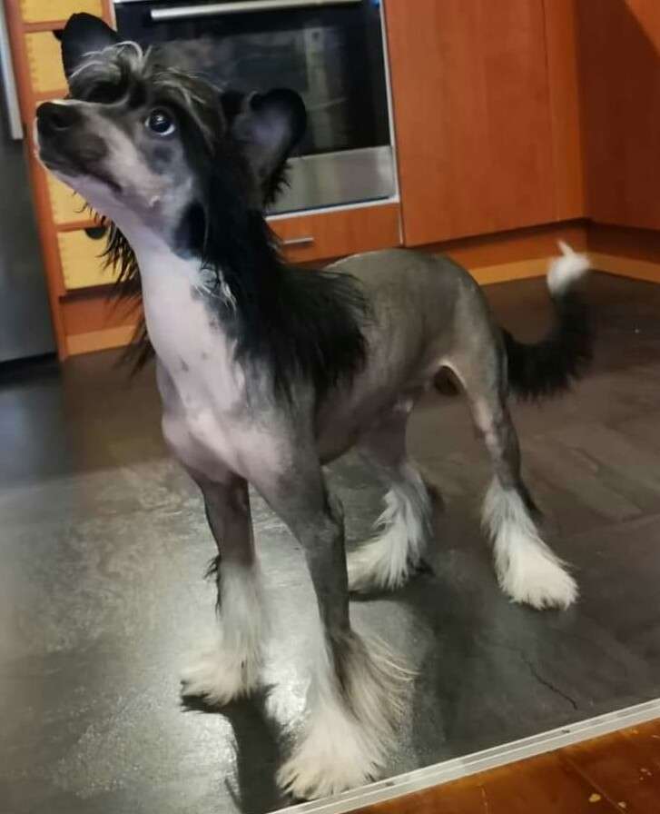 Blastwave A Lord Tirek