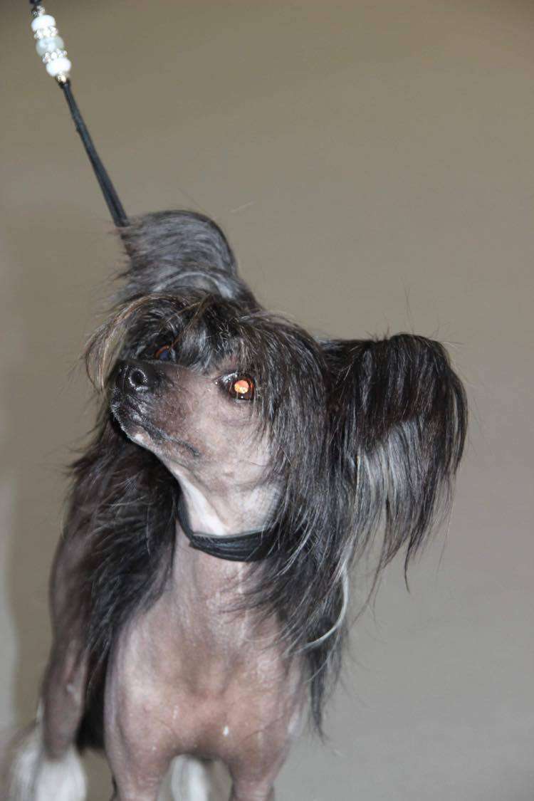 Heli Dio MadeOfFrabiesBeauties