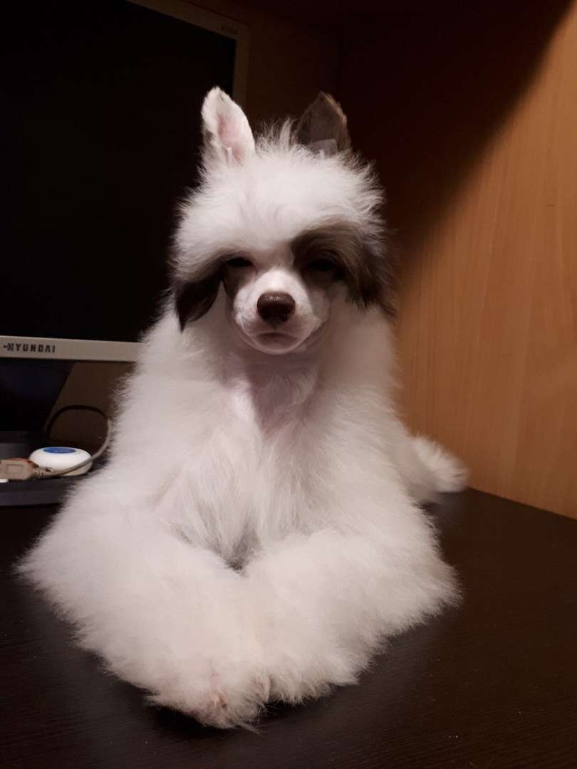 My Lucky Charm Demis Russos