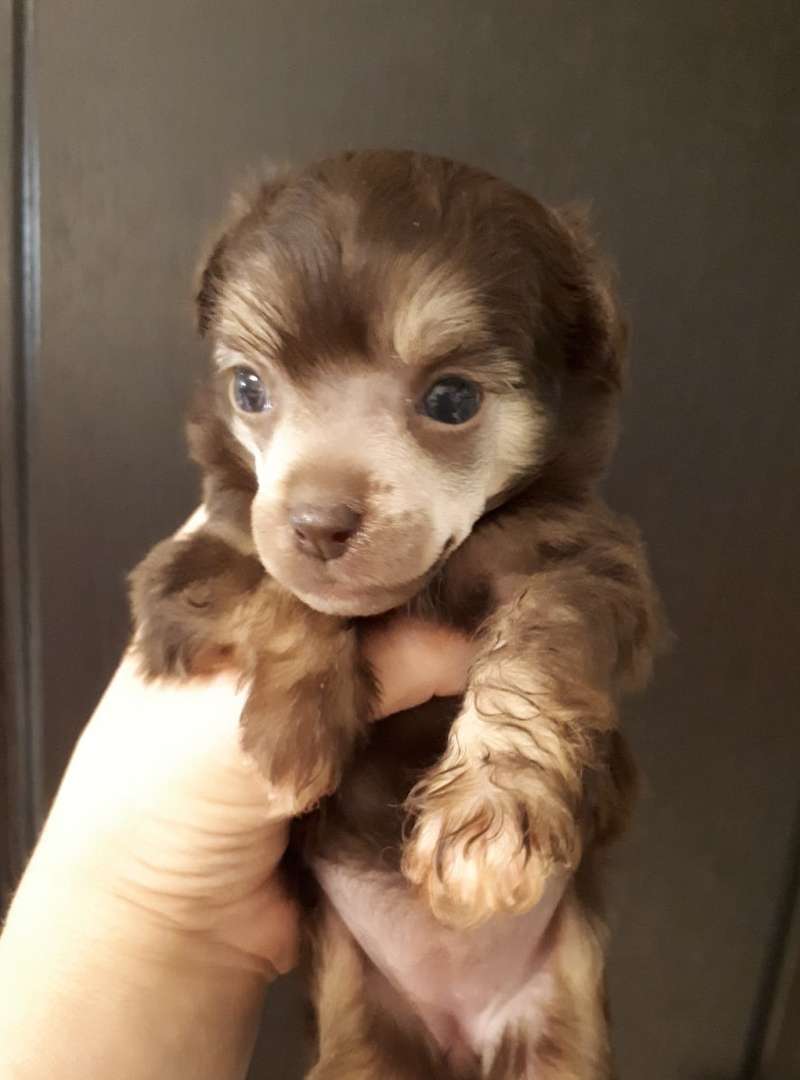 My Lucky Charm Enigma