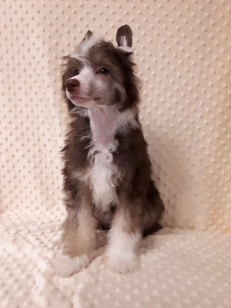 My Lucky Charm Eterniti