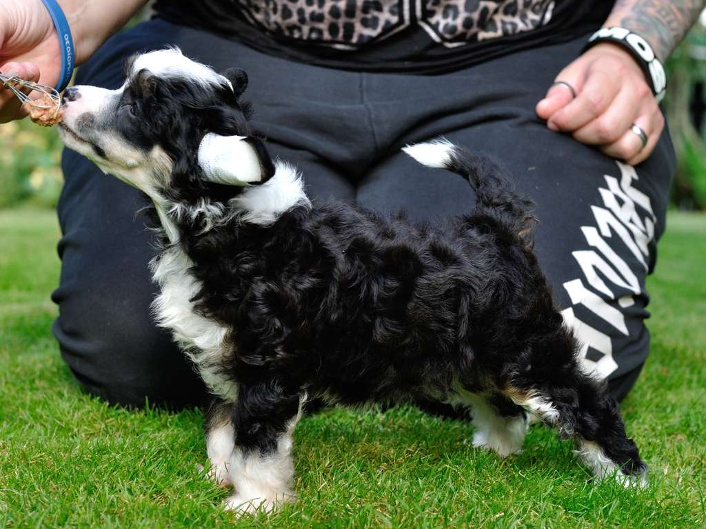 Oblivion Fatal Frame