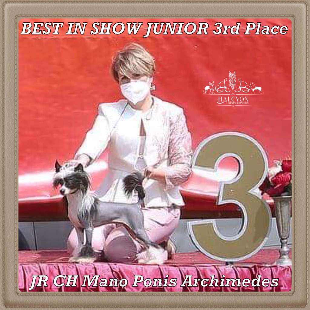 Mano Ponis Archimedes