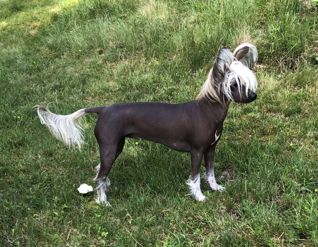 Girls Girls Indie Pop