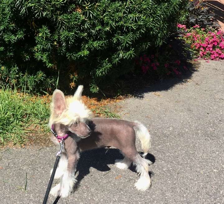 Biker?s Alaric Saltzman