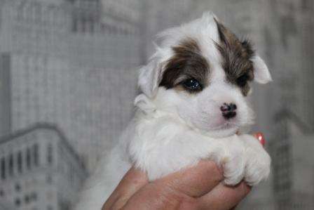 Lina'S Beauty Vivian