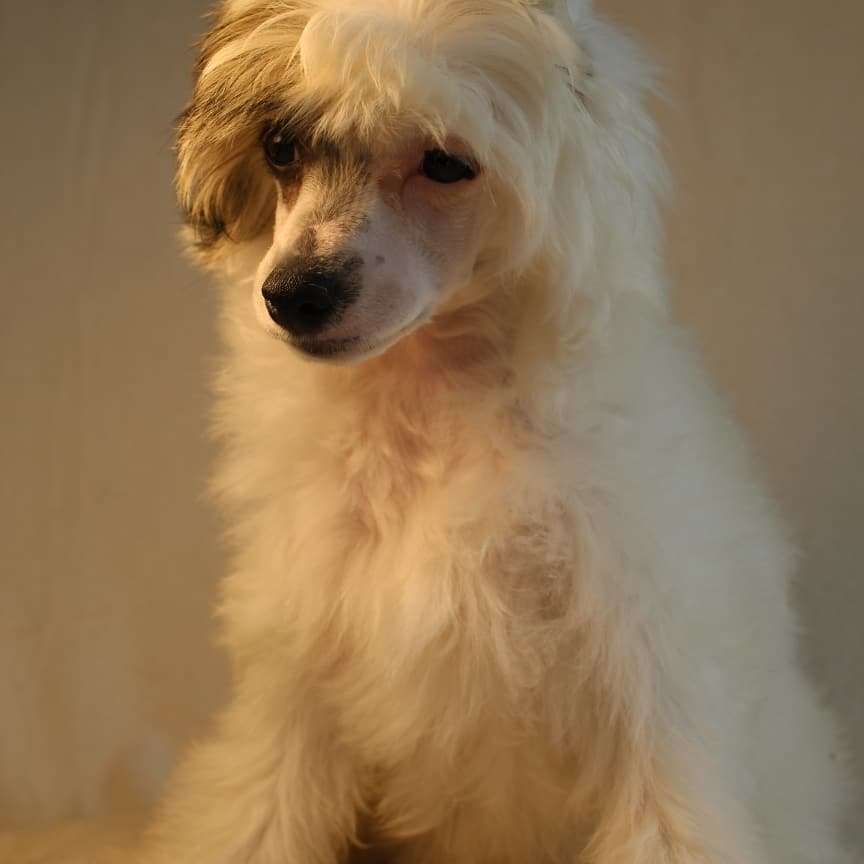 Lina'S Beauty Valkiriya