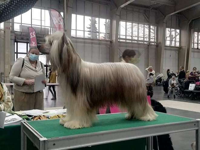 Corto Dream Of Coffee FCI