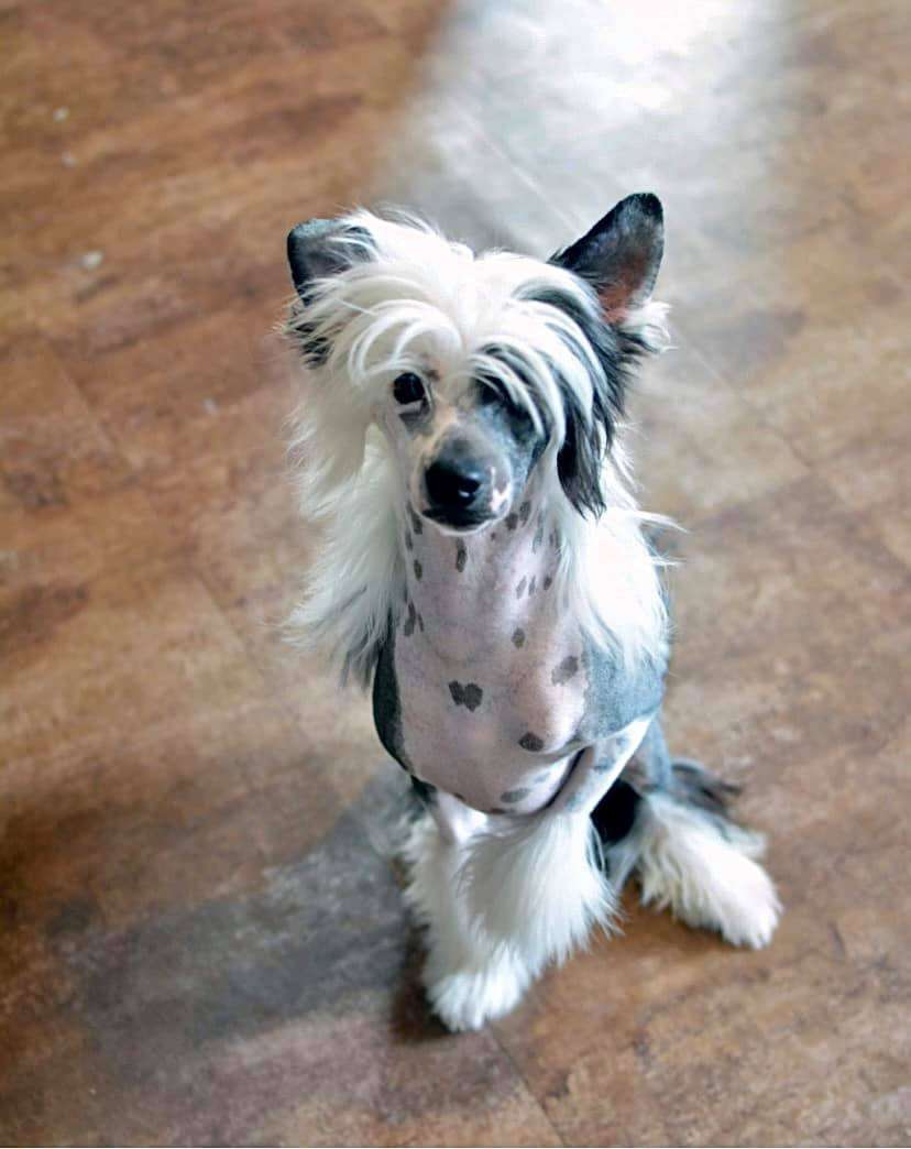 Fiery Fame What I Love