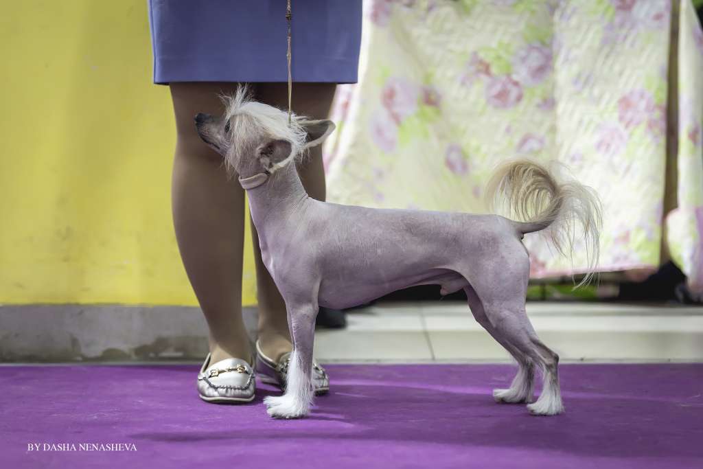 Grand Passage Dunkan