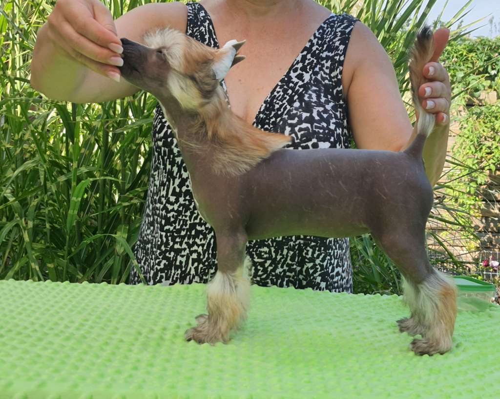 Million Dollar Baby Caramella's Family