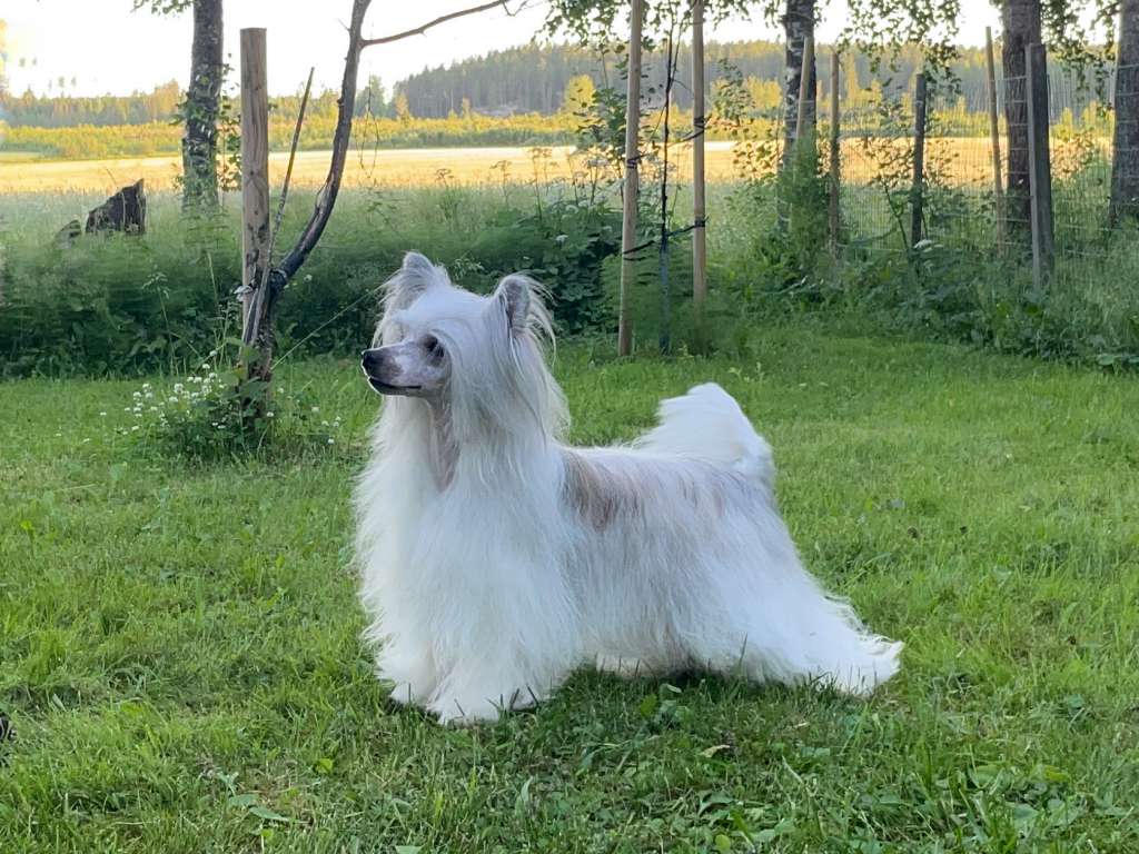 Arte Figure One Of Those