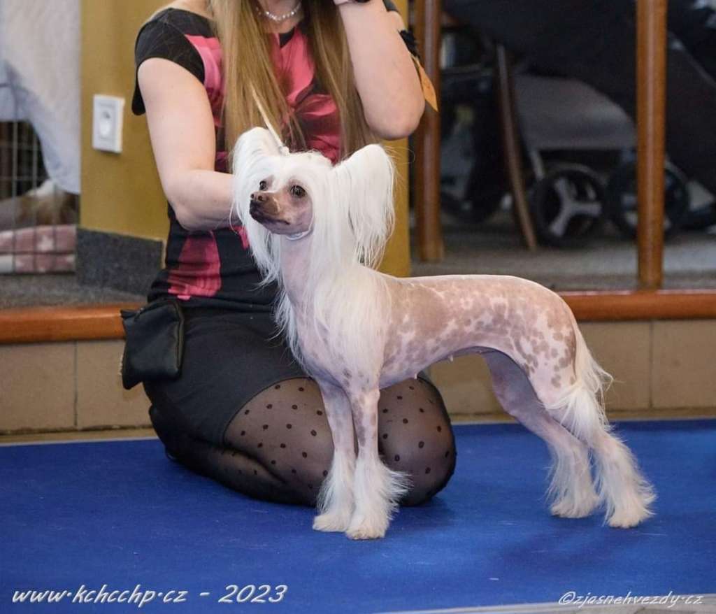 Finlandia Crystal Ice