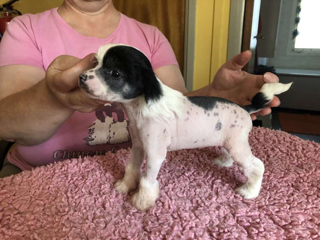 Yrar Gone With The Wind