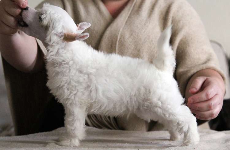 Tinted's Out Of This World