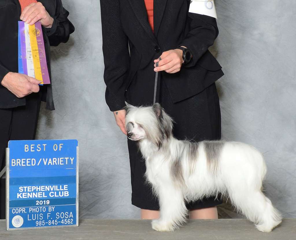 Country's NnF Hazy Shade of Winter CGC TKN