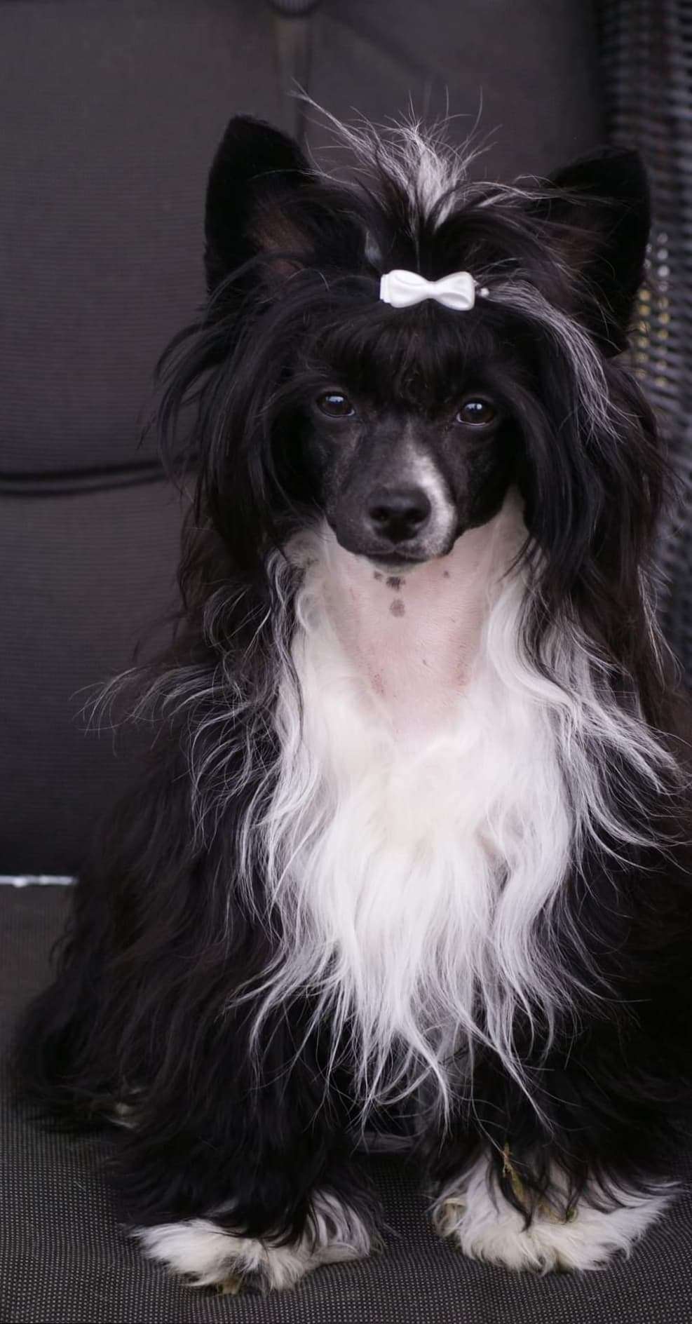 Beyesa's Absolutely Got U