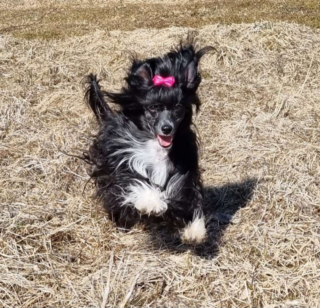 Beyesa's Got To Absolutely Love U