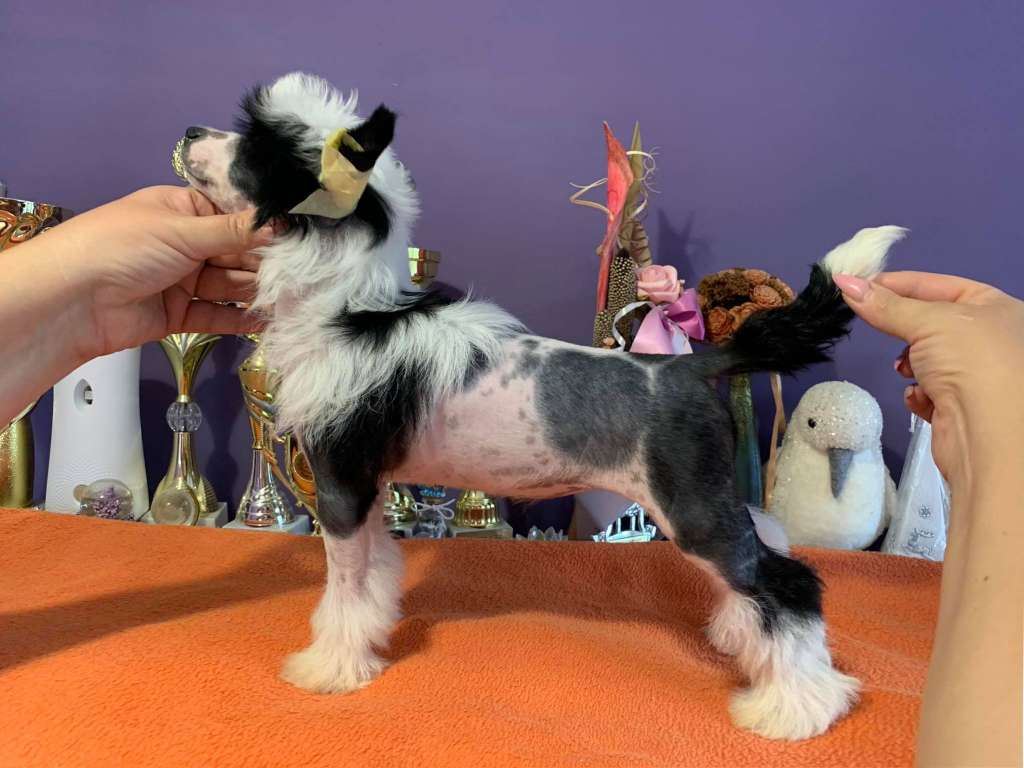 Fundoklia-völgyi Kaszanics Jennifer